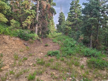 Undeveloped Land in Sanpete County, Utah