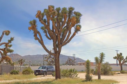 Homesite in San Bernardino County, California