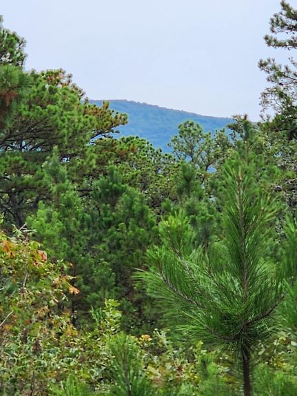 Recreational Property in Le Flore County, Oklahoma
