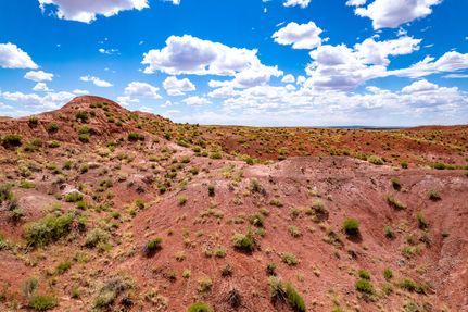 Hunting Property in Apache County, Arizona