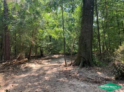 Undeveloped Land in Ouachita Parish, Louisiana