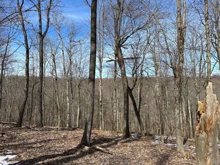 Undeveloped Land in Elk County, Pennsylvania