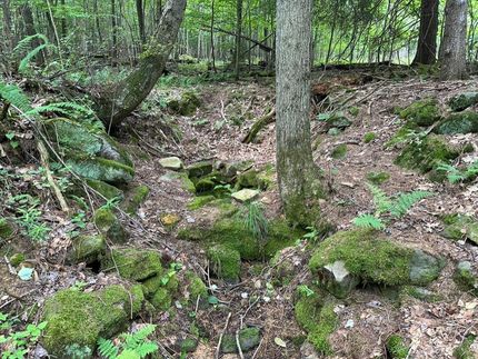 Timberland Property in Elk County, Pennsylvania