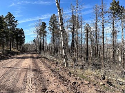 Undeveloped Land in Costilla County, Colorado