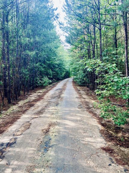 Farm and Ranch in Columbia County, Arkansas