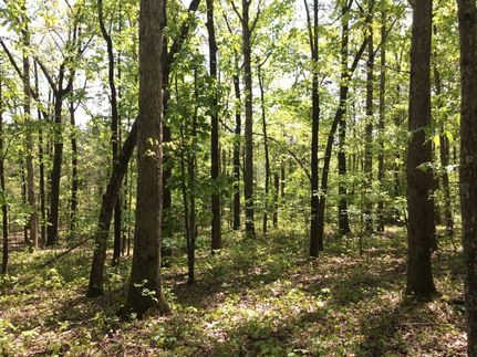 Farm and Ranch in White County, Arkansas