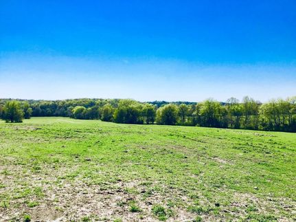 Timberland Property in Sevier County, Arkansas
