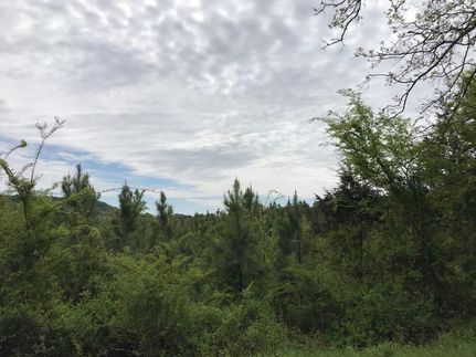 Recreational Property in Logan County, Arkansas