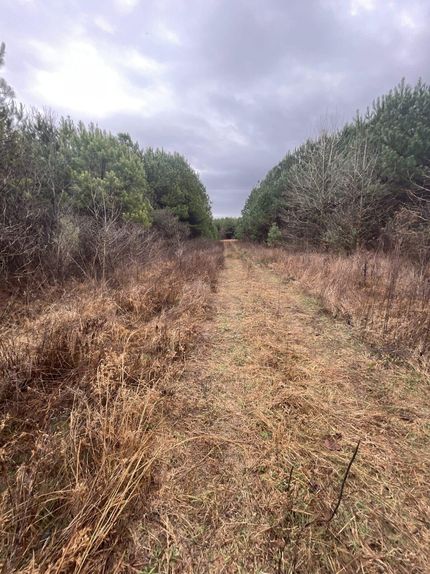 Recreational Property in White County, Arkansas