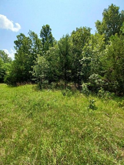 Undeveloped Land in Shannon County, Missouri