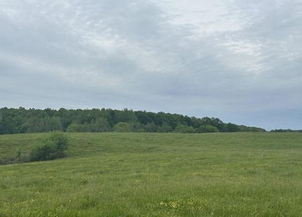 Land in Marshall County, Alabama