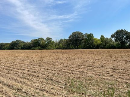 Land in West Carroll Parish, Louisiana