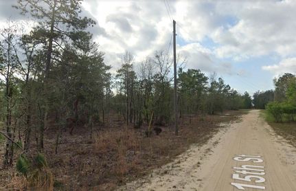 Undeveloped Land in Putnam County, Florida
