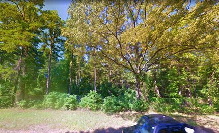 Undeveloped Land in Marion County, Texas