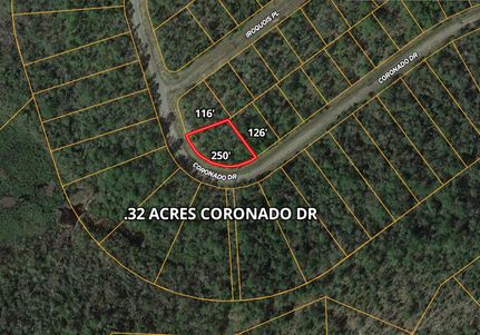 Undeveloped Land in Washington County, Florida