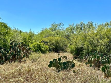 Recreational Property in Jim Wells County, Texas