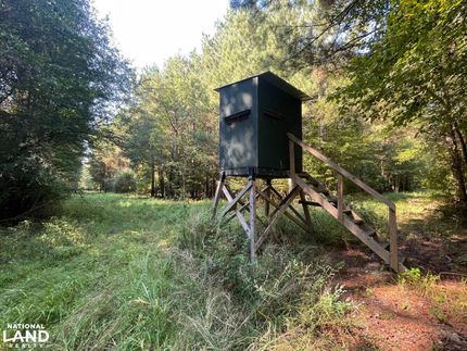 Recreational Property in Lamar County, Alabama