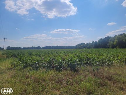 Recreational Property in Autauga County, Alabama