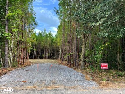 Farm and Ranch in Georgetown County, South Carolina