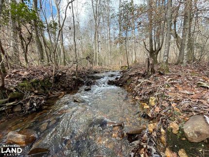 Farm and Ranch in Clay County, Alabama