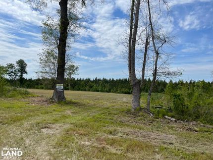 Commercial Property in Berkeley County, South Carolina