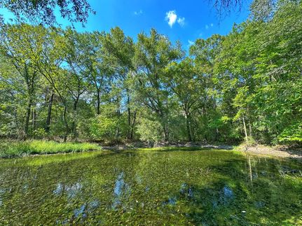 Timberland Property in Leon County, Texas