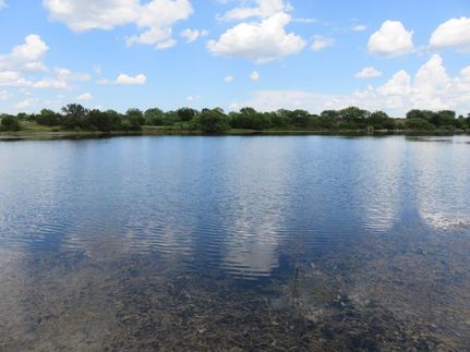 Land in Coleman County, Texas