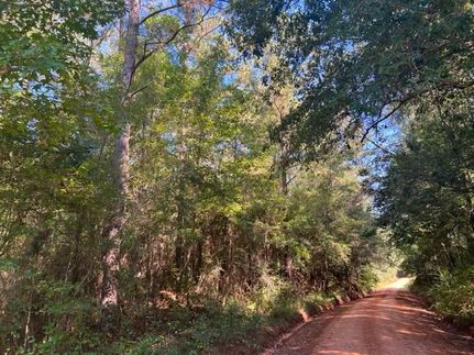 Recreational Property in Monroe County, Alabama