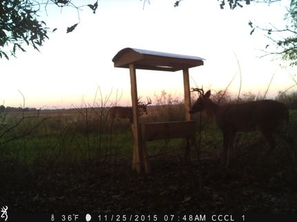 Land in Bolivar County, Mississippi