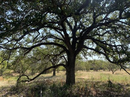 Recreational Property for sale in Brown County, Texas