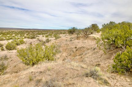 Undeveloped Land in Apache County, Arizona