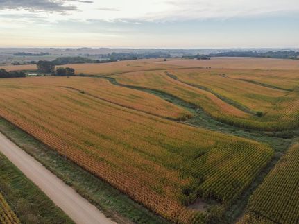 Farm and Ranch in Cherokee County, Iowa