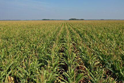 Land in Richland County, North Dakota