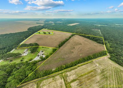 Timberland Property in Washington County, North Carolina