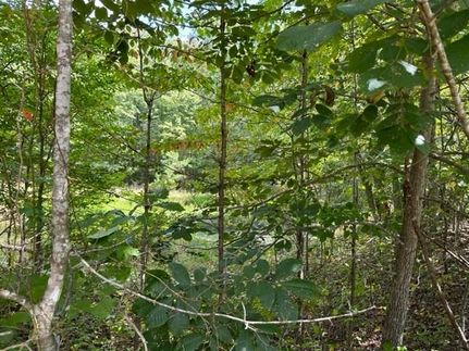 Homesite in Overton County, Tennessee