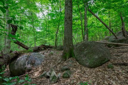 Recreational Property in Saluda County, South Carolina