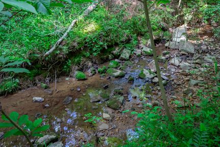 Recreational Property in Saluda County, South Carolina