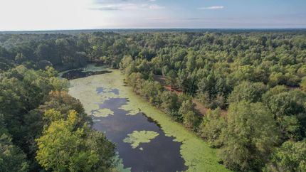 Recreational Property in Bowie County, Texas