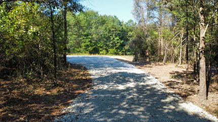 Timberland Property in Bowie County, Texas