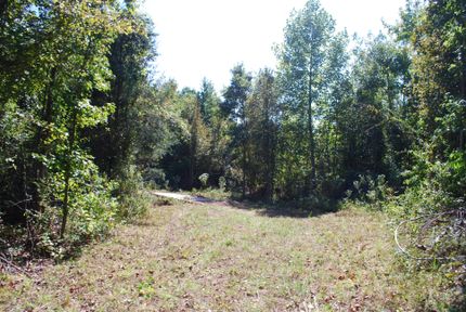 Farm and Ranch in Webster County, Mississippi