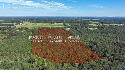 Timberland Property in Cullman County, Alabama