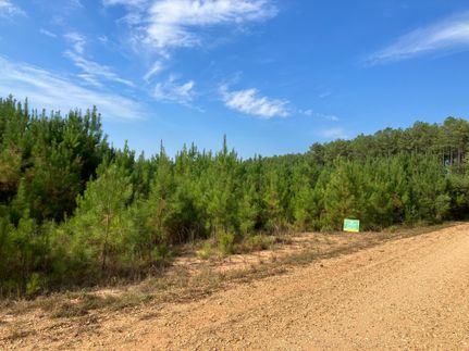 Farm and Ranch in Amite County, Mississippi