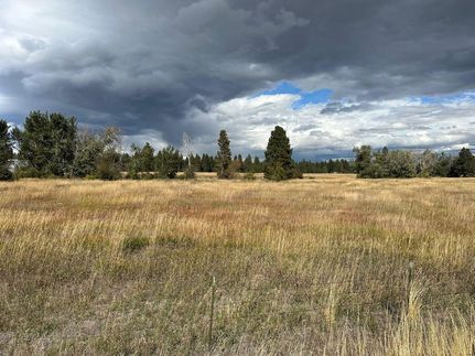 Timberland Property in Baker County, Oregon