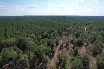 Land for sale in Tyler County, Texas