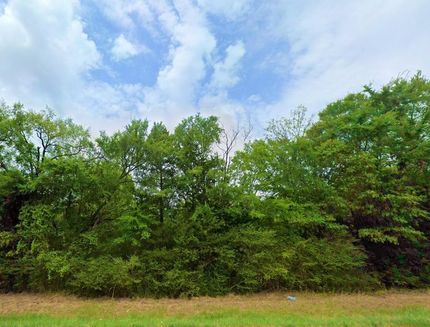 Undeveloped Land in Franklin County, Texas