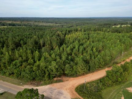 Timberland Property in Pike County, Alabama