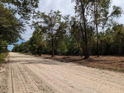 Undeveloped Land in Suwannee County, Florida