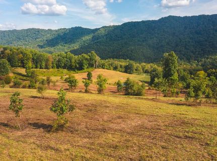 Undeveloped Land in Hawkins County, Tennessee