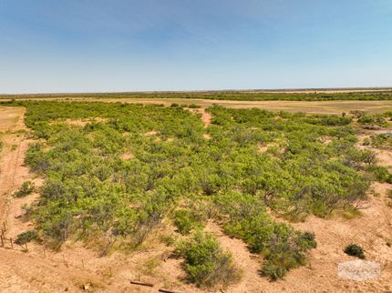 Timberland Property in Foard County, Texas