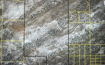 Farm and Ranch in Apache County, Arizona